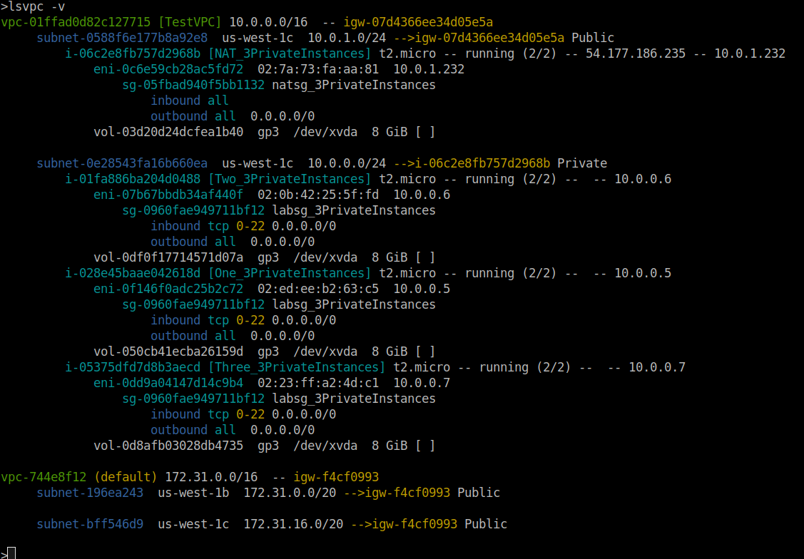 The same lsvpc output run with the -v flag. Each instance now additionally lists its elastic network interface with MAC and IP address, its security group with inbound and outbound rules, and its attached EBS volumes with type, device name and size.